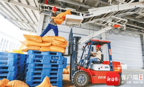 海南洋浦 澳斯卡國(guó)際糧油加工廠主生產(chǎn)線試生產(chǎn)